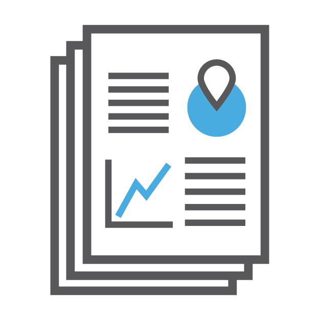 Radius Report Icon